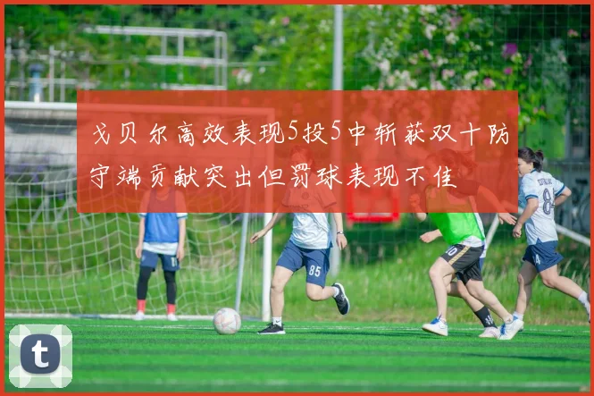 戈贝尔高效表现5投5中斩获双十防守端贡献突出但罚球表现不佳